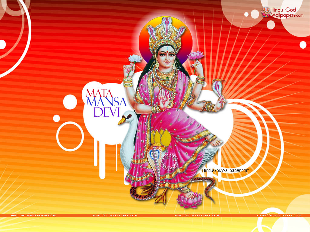 Maa Mansa Devi Wallpaper Free Download